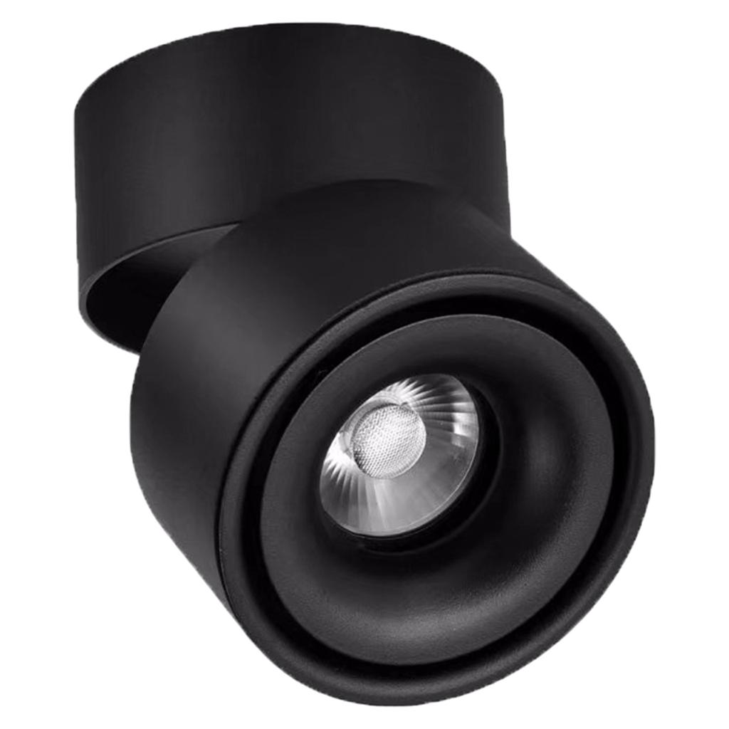 SPOT LIGHT Black Body - 3017